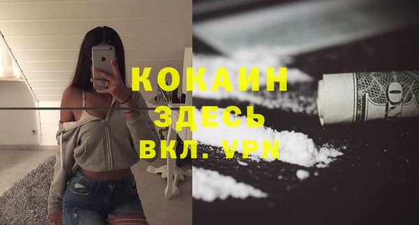 кокс Бородино