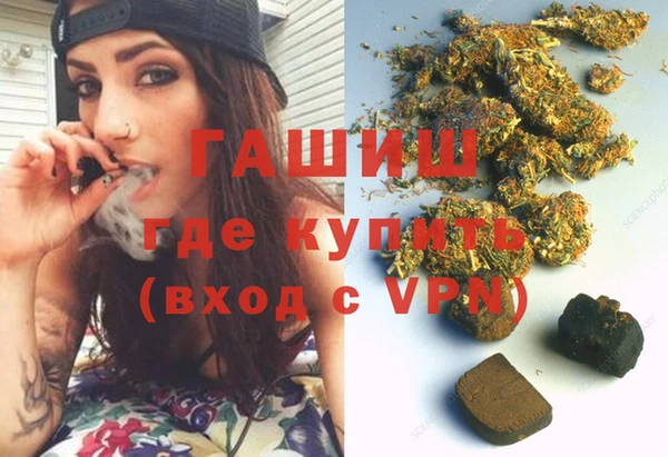 прущие грибы Бронницы