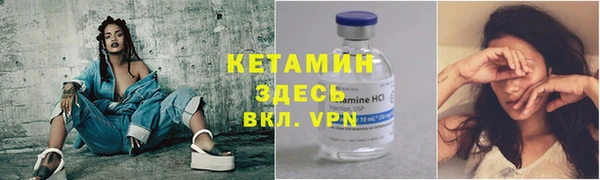 прущие грибы Бронницы