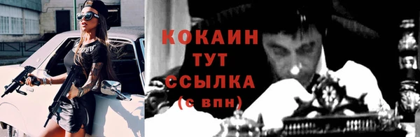 кокс Бородино