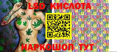 индика Заводоуковск