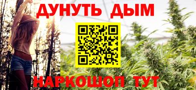 индика Заводоуковск