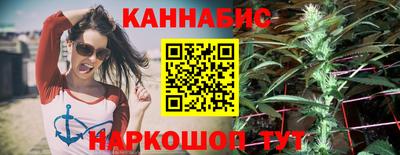 индика Заводоуковск