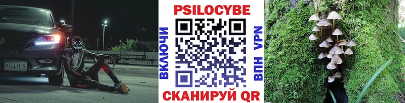 Псилоцибиновые грибы мухоморы  Гудермес 
