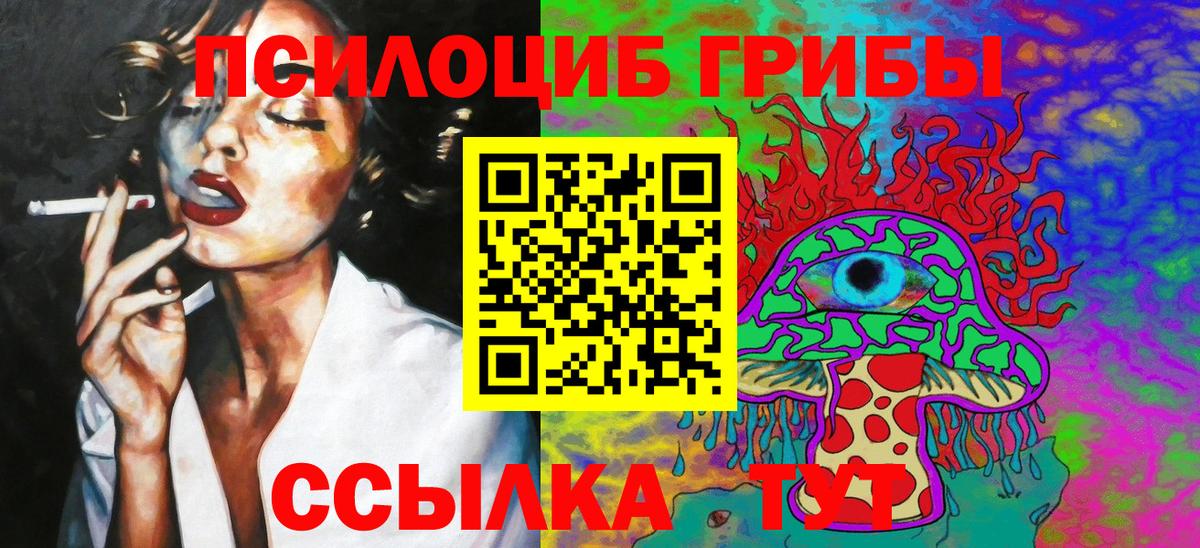 Псилоцибиновые грибы MAGIC MUSHROOMS  Вход с VPN  Гудермес 