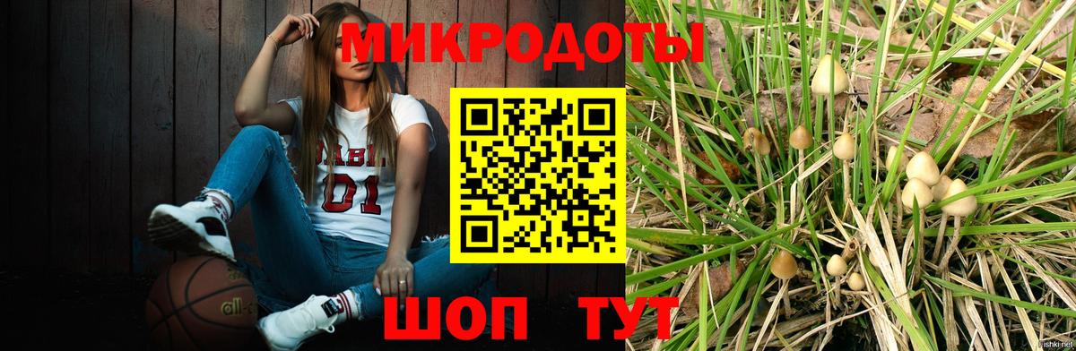 Галлюциногенные грибы MAGIC MUSHROOMS Гудермес